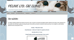 Desktop Screenshot of felineltd.com